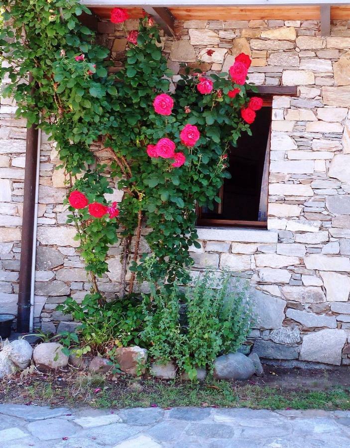 فيلا Casa Cicala Trarego المظهر الخارجي الصورة